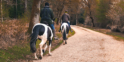 horseback riding